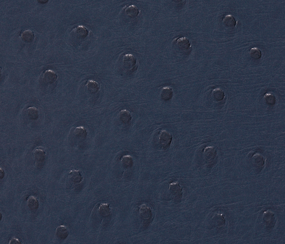 Ostrich 0007 PU leather | Upholstery fabrics | BUVETEX INT.