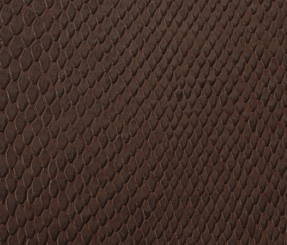 Phython 0005 PU leather | Upholstery fabrics | BUVETEX INT.