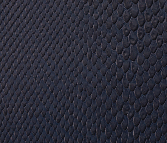 Phython 0007 PU leather | Upholstery fabrics | BUVETEX INT.