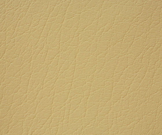 Mercure 10 PU leather | Upholstery fabrics | BUVETEX INT.