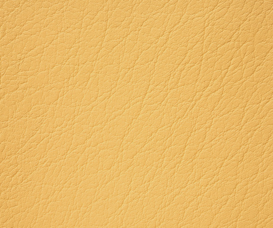Mercure 13 PU leather | Tessuti decorative | BUVETEX INT.