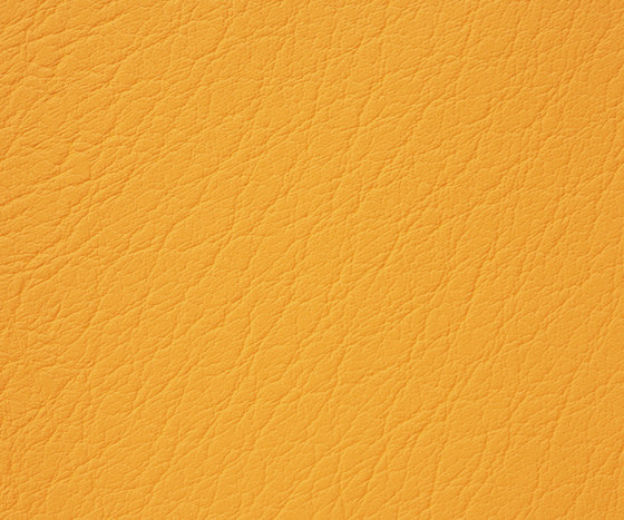 Mercure 19 PU leather | Upholstery fabrics | BUVETEX INT.