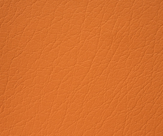 Mercure 21 PU leather | Tessuti imbottiti | BUVETEX INT.