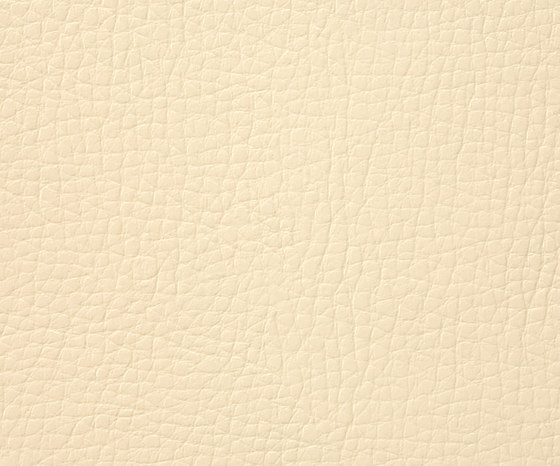 Solo 0001 PU leather | Upholstery fabrics | BUVETEX INT.