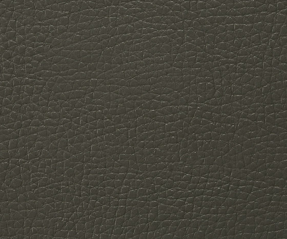 Solo 0006 PU leather | Upholstery fabrics | BUVETEX INT.