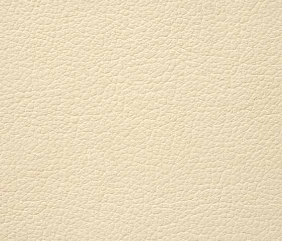 Regent 0001 PU leather | Upholstery fabrics | BUVETEX INT.