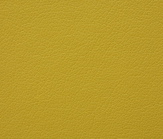 Regent 0006 PU leather | Tessuti imbottiti | BUVETEX INT.