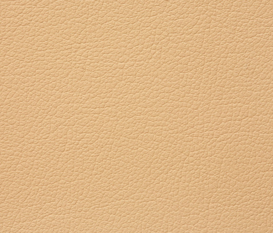 Regent 0008 PU leather | Upholstery fabrics | BUVETEX INT.