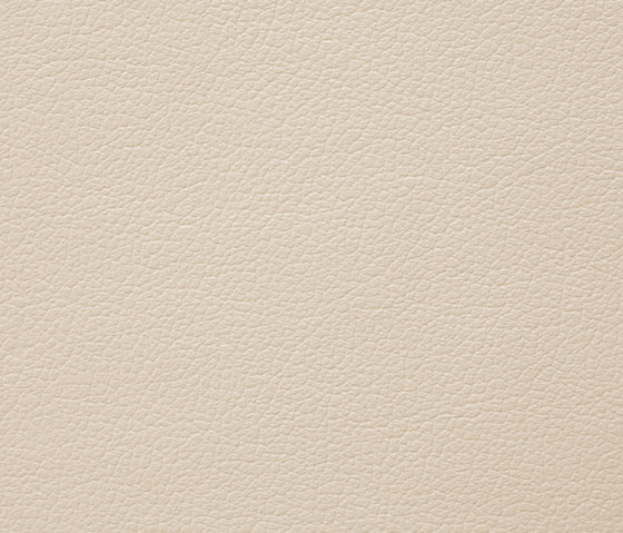 Regent 0016 PU leather | Upholstery fabrics | BUVETEX INT.