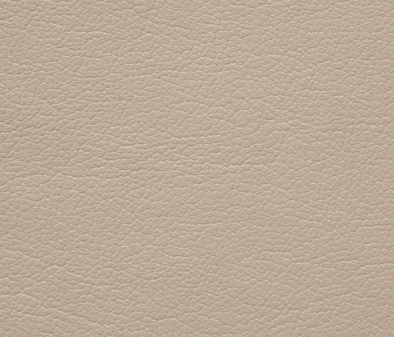 Regent 0017 PU leather | Upholstery fabrics | BUVETEX INT.