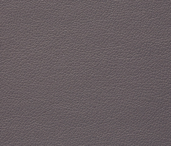 Regent 0018 PU leather | Upholstery fabrics | BUVETEX INT.