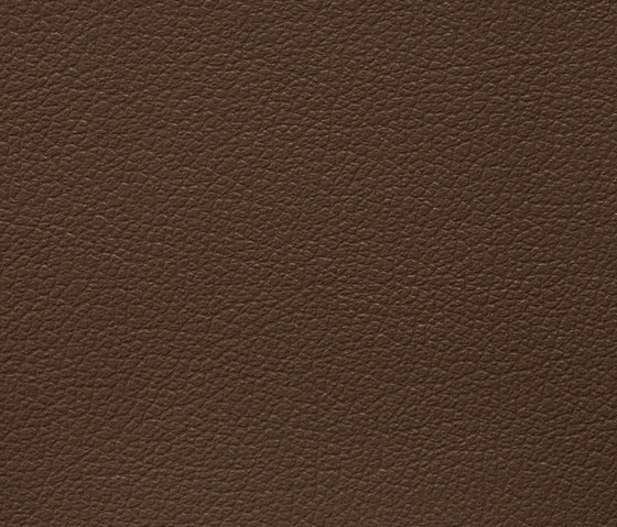 Regent 0019 PU leather | Upholstery fabrics | BUVETEX INT.