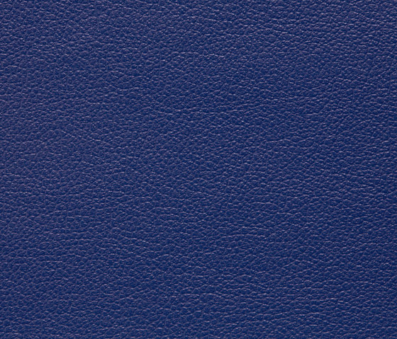 Regent 0023 PU leather | Upholstery fabrics | BUVETEX INT.
