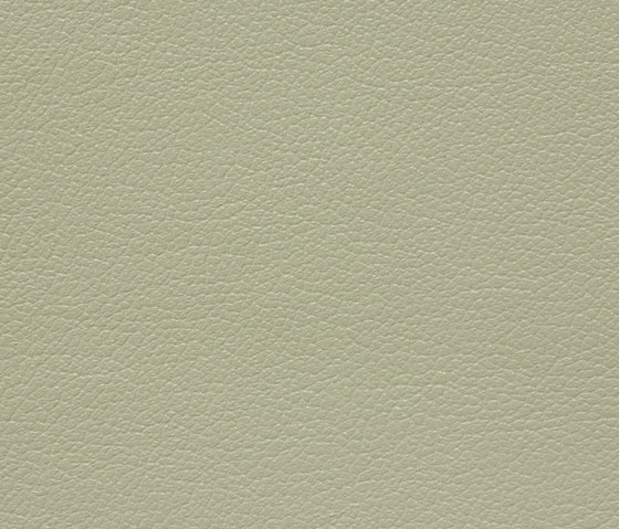 Regent 0027 PU leather | Upholstery fabrics | BUVETEX INT.