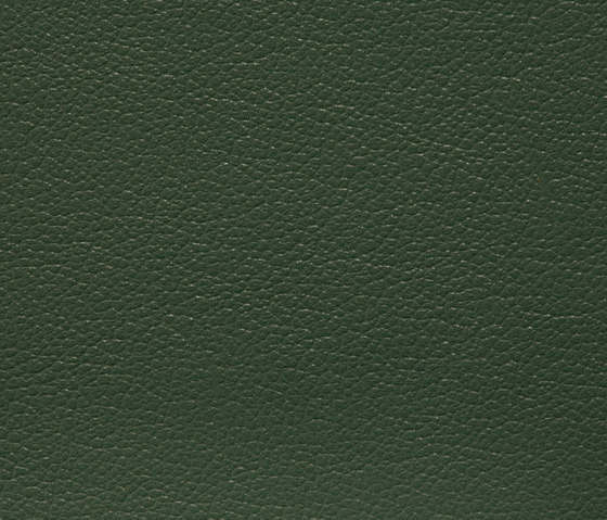 Regent 0029 PU leather | Upholstery fabrics | BUVETEX INT.
