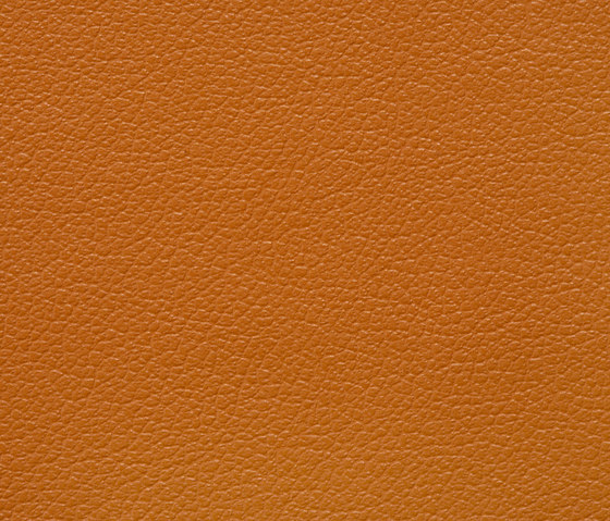 Regent 0033 PU leather | Tessuti imbottiti | BUVETEX INT.