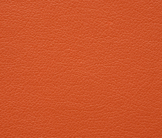 Regent 0034 PU leather | Upholstery fabrics | BUVETEX INT.