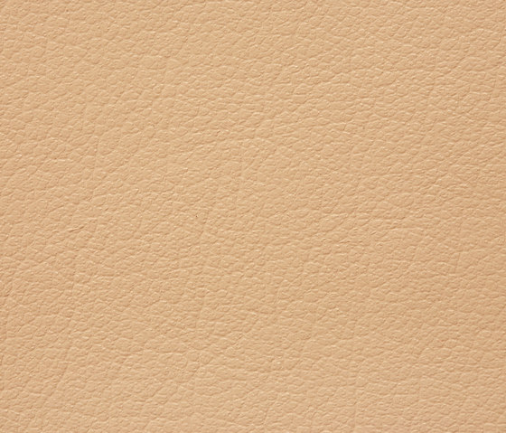 Regent 0715 PU leather | Upholstery fabrics | BUVETEX INT.