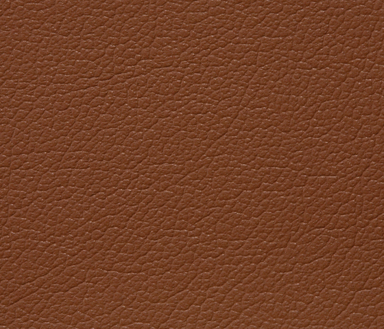 Regent 6037 PU leather | Tissus d'ameublement | BUVETEX INT.