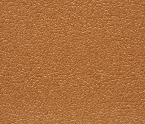 Regent 0039 PU leather | Upholstery fabrics | BUVETEX INT.