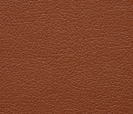 Regent 0013 PU leather | Upholstery fabrics | BUVETEX INT.