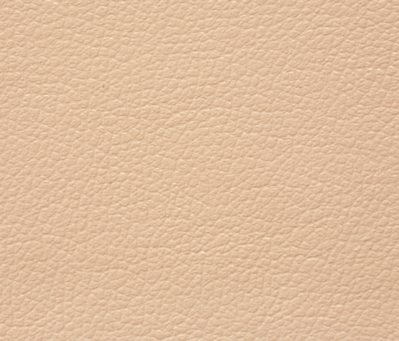 Regent 0709 PU leather | Tissus d'ameublement | BUVETEX INT.