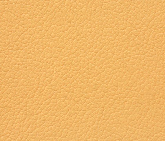 Regent 6040 PU leather | Upholstery fabrics | BUVETEX INT.