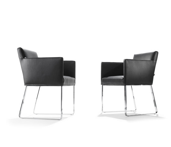 Jaspe | Stühle | Signet Wohnmöbel