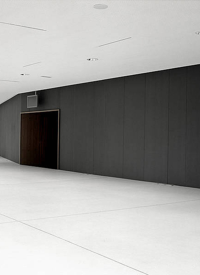 concrete skin - interior | Opera House Bregenz | Paneles murales | Rieder