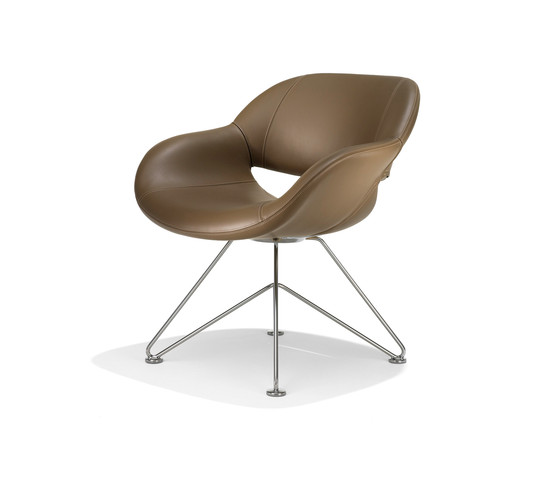 8220/3 Volpe | Sillones | Kusch+Co