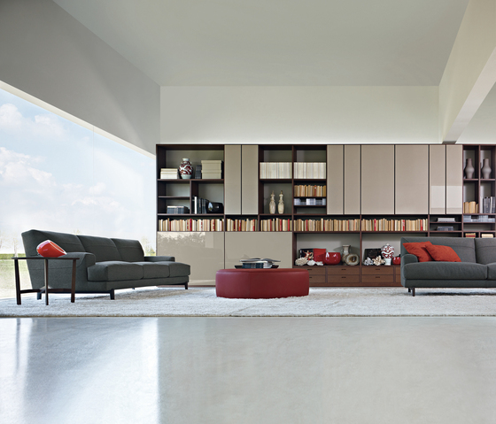 505 | Wall storage systems | Molteni & C