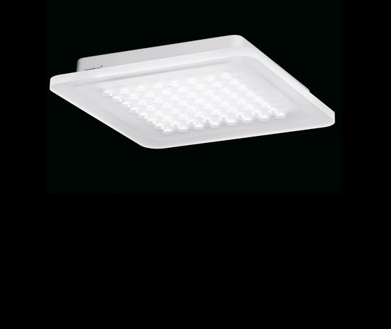 Modul Q 64 Surface | Lampade plafoniere | Nimbus