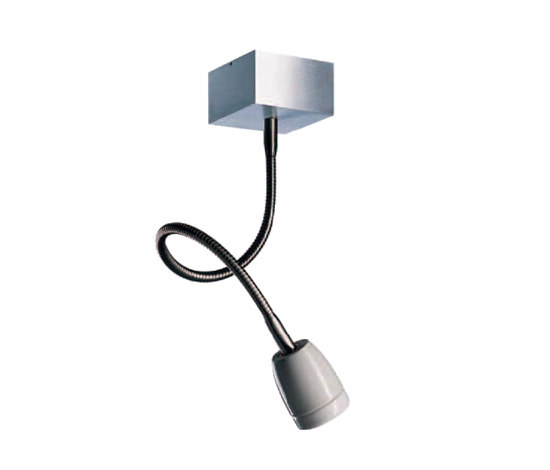 Dessau Flex Flexible stem light | Lámparas de pared | STENG LICHT