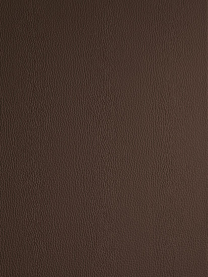 Leather Dark Brown | Wood panels | SIBU DESIGN