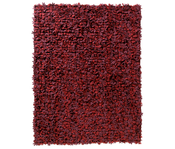 Little field of flowers Reds | Rugs | Nanimarquina