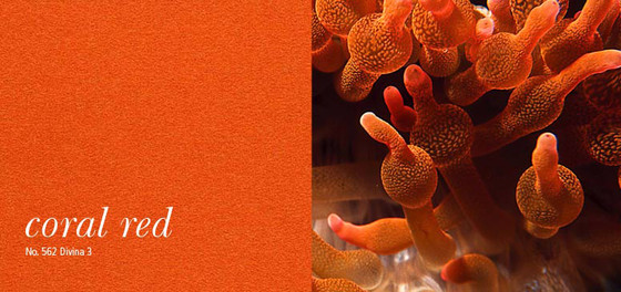 acousticpearls - off - coral red | 562 | Panneaux muraux | Création Baumann
