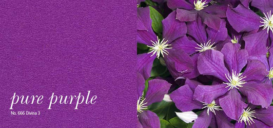 acousticpearls - off - pure purple | 666 | Panneaux muraux | Création Baumann