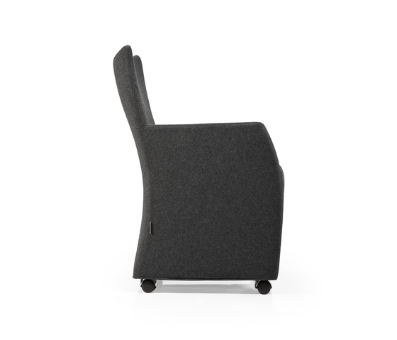 Anitta | Chairs | Koleksiyon Furniture