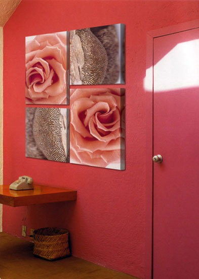 tela Rosy Mushroom |  | tela-design