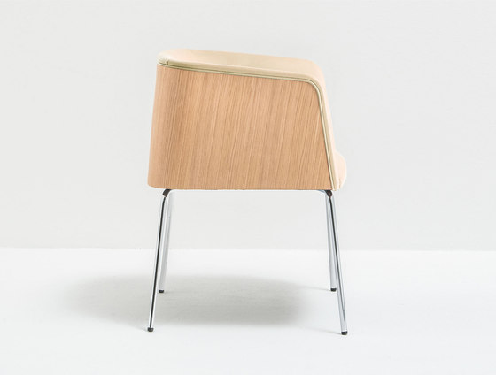 Allure 738 | Chairs | PEDRALI