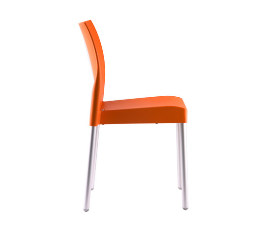 Ice 800 | Chairs | PEDRALI