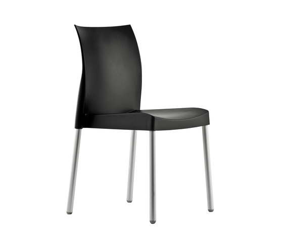 Ice 800 | Chairs | PEDRALI