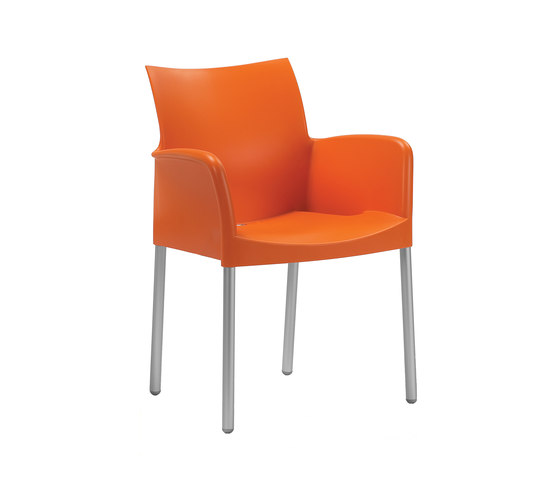 Ice 850 | Chairs | PEDRALI