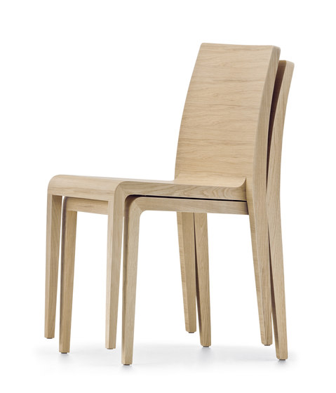 Young+ 421 | Chaises | PEDRALI