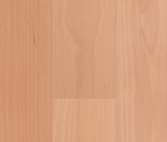 Feuillus Hêtre elegance | Planchers bois | Admonter Holzindustrie AG