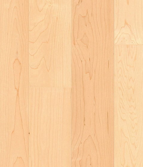 CITY FLOOR Canadian Maple Elegance | Wood flooring | Admonter Holzindustrie AG