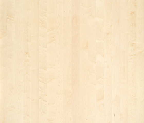 ELEMENTs Maple | Planchas de madera | Admonter Holzindustrie AG