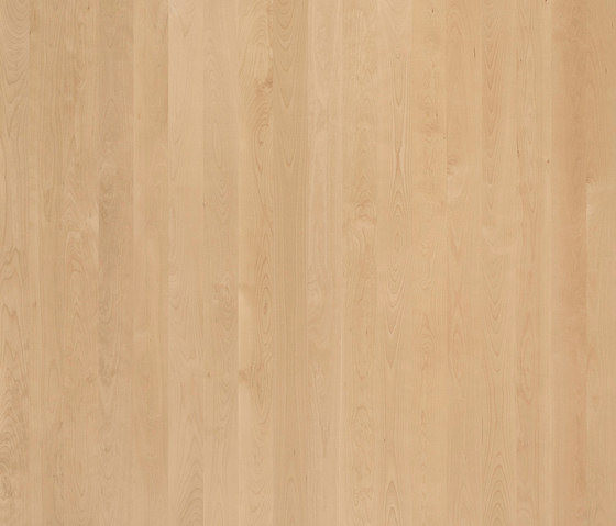 ELEMENTs Beech | Wood panels | Admonter Holzindustrie AG