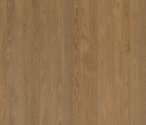 ELEMENTs Oak medium | Wood panels | Admonter Holzindustrie AG