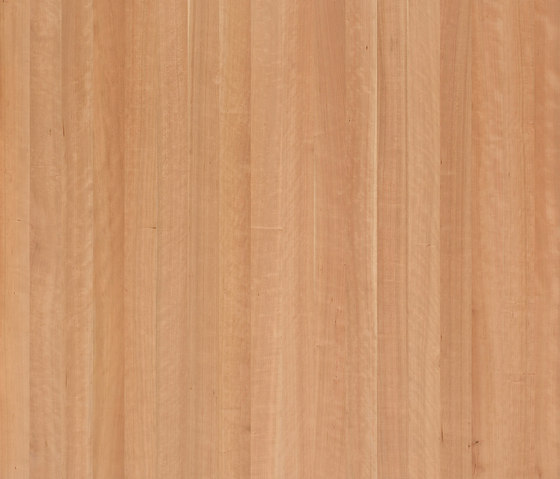 ELEMENTs American Cherry | Wood panels | Admonter Holzindustrie AG